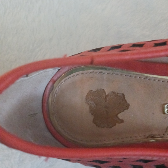 Bottero • Women's Orange Brazilian Laser-Cut Pointy Toe Leather Ballet F… - Picture 10 of 11